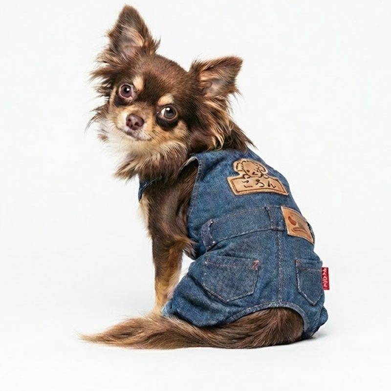 予約限定ウェア]お名前刺繍・岡山デニムリアルカバーオール | 犬服通販