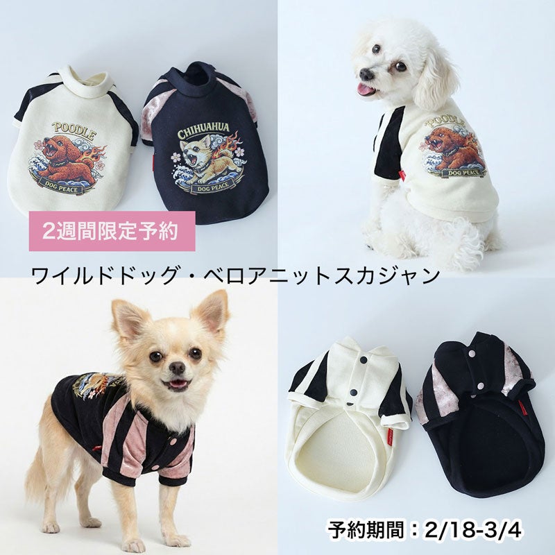 予約限定ウェア]ワイルドドッグ・ベロアニットスカジャン | 犬服通販