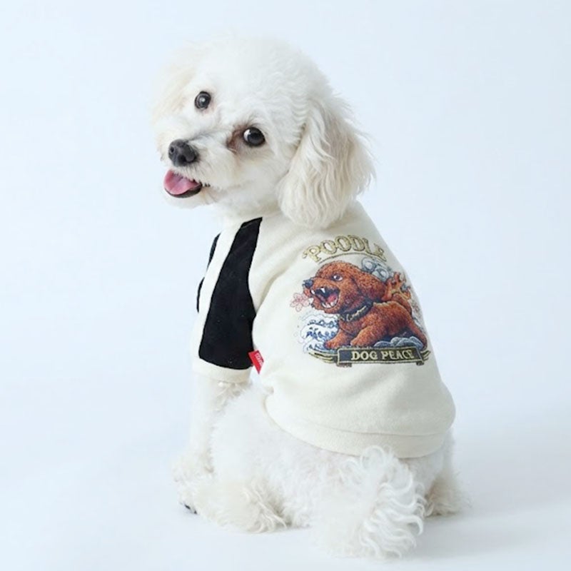 予約限定ウェア]ワイルドドッグ・ベロアニットスカジャン | 犬服通販