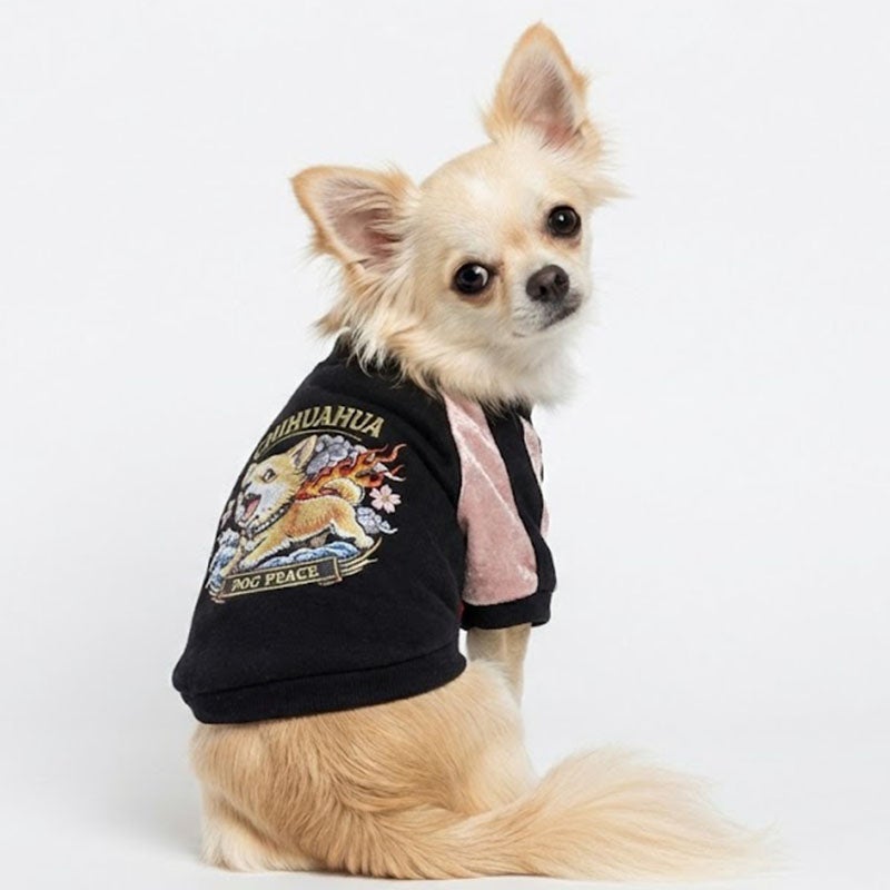 予約限定ウェア]ワイルドドッグ・ベロアニットスカジャン | 犬服通販