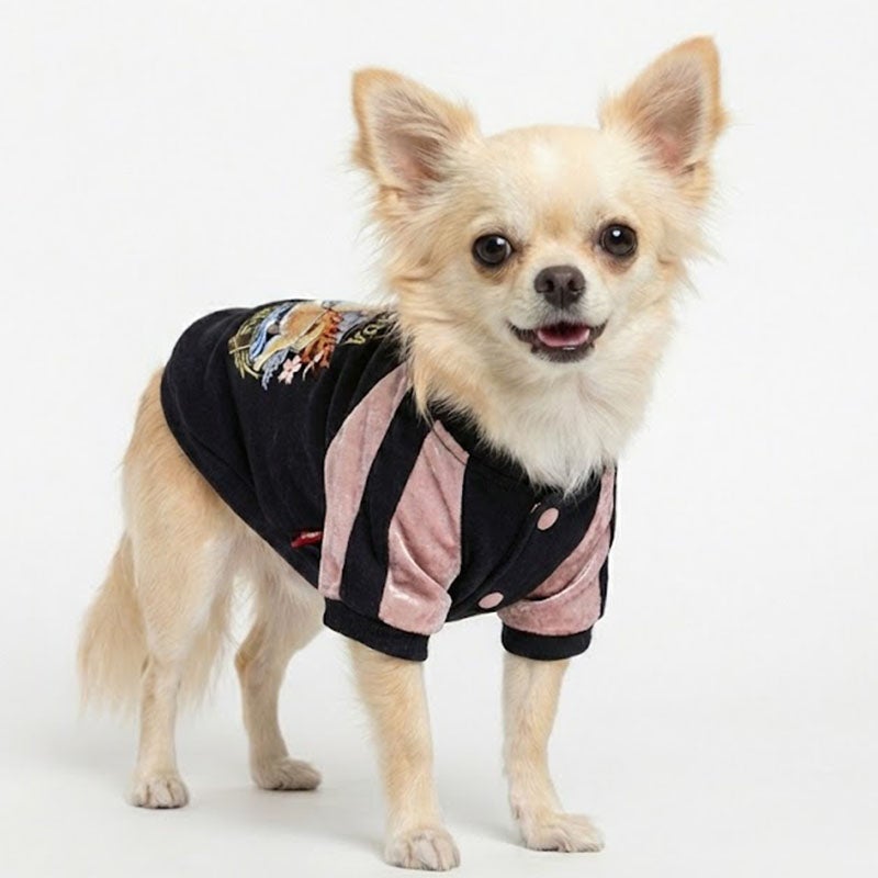 予約限定ウェア]ワイルドドッグ・ベロアニットスカジャン | 犬服通販