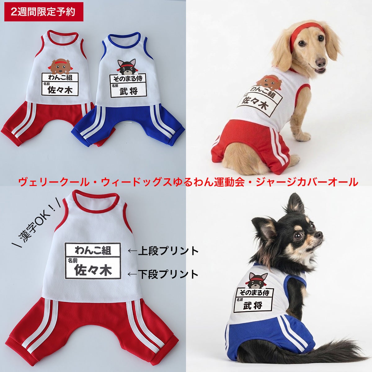 予約限定ウェア]ヴェリークール・ウィードッグスゆるわん運動会