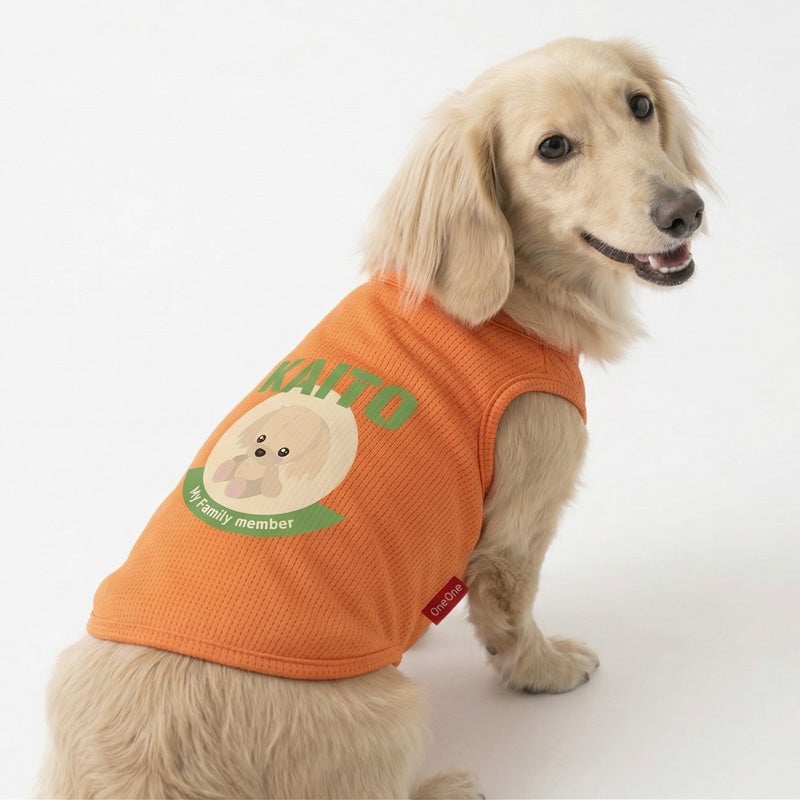 ヤマト娘　バックプリントプリント犬服 お名前プリント］ぬいぐるみドッグ・My Family Member・ヴェリークール