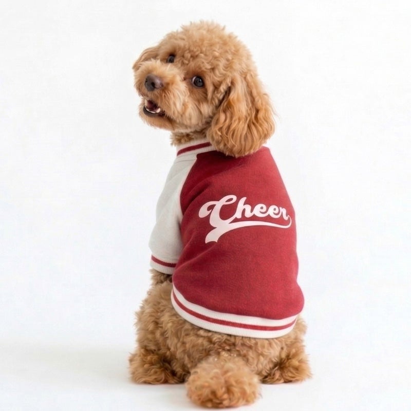 お名前プリント]カラフルチアロゴ・ジャージスタジャン | 犬服通販