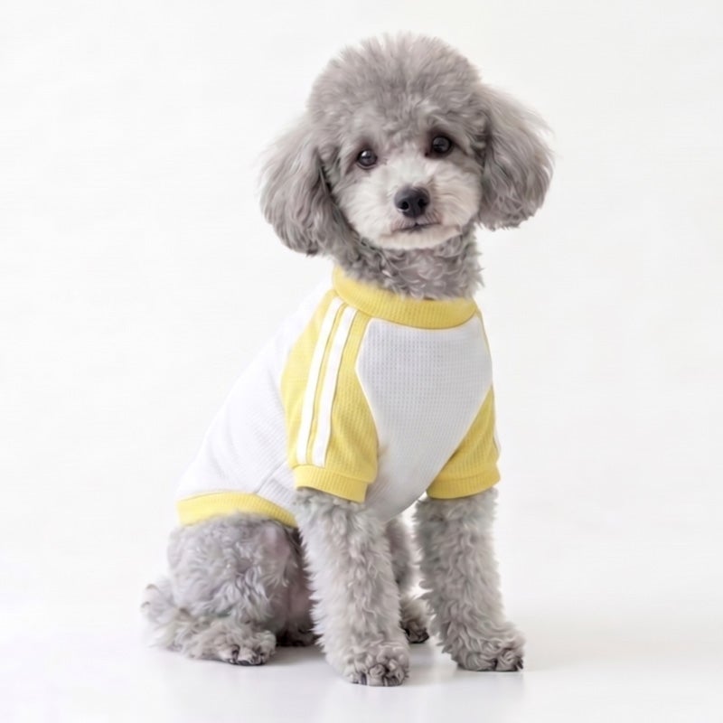 お名前プリント]ヴェリークール体操服・ウィードッグス！シンプル | 犬