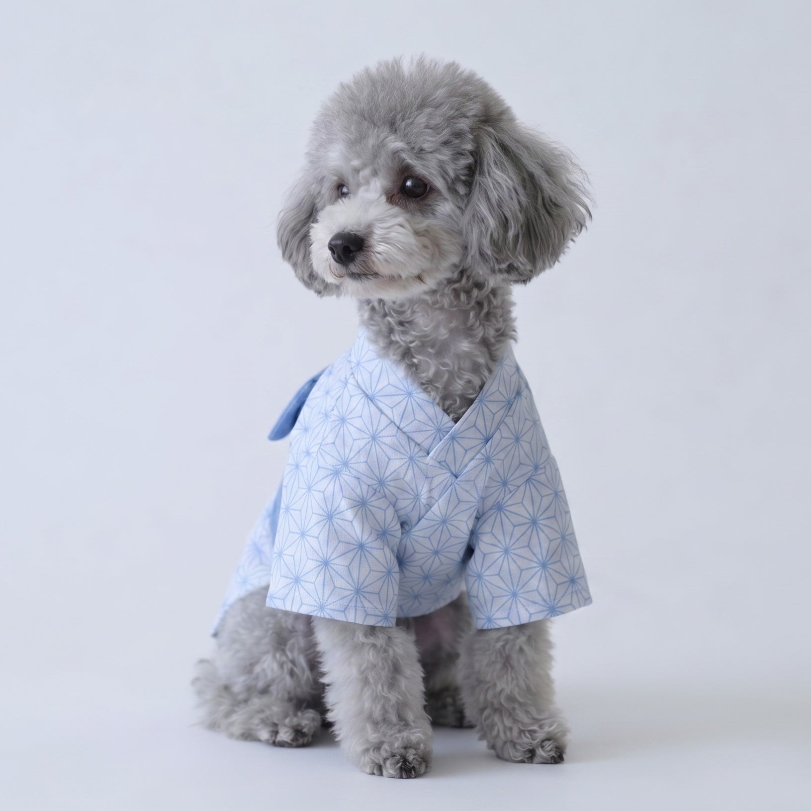 お名前刺繍］すぽっと着れるあさの葉かんたん浴衣シャツ | 犬服通販