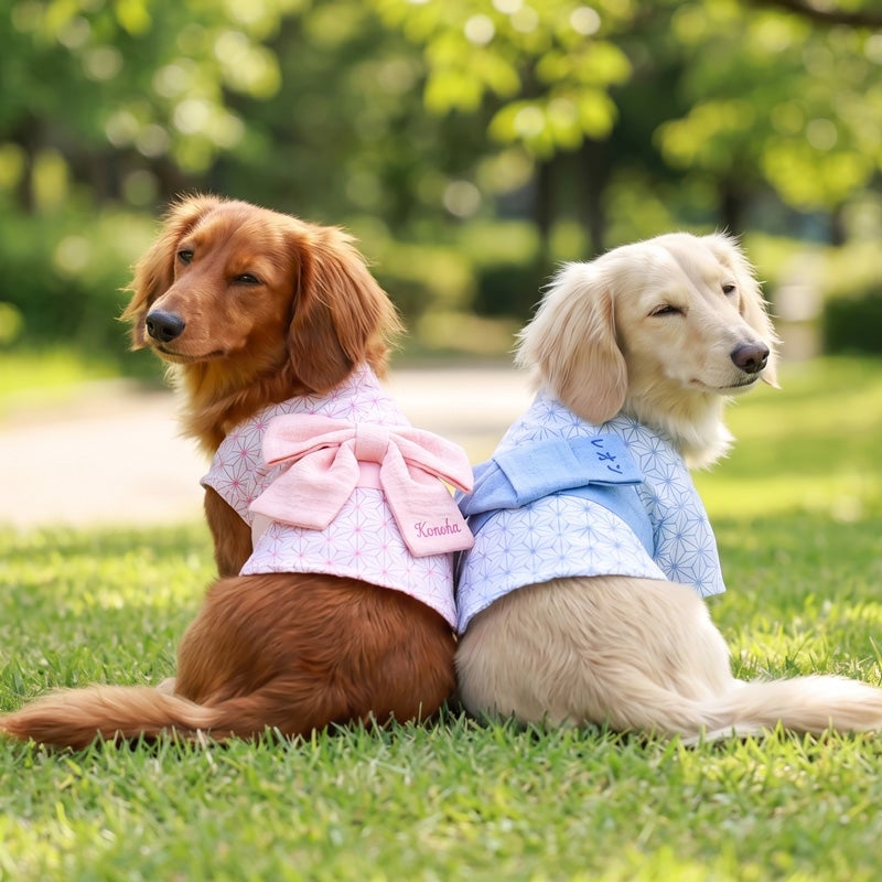 お名前刺繍］すぽっと着れるあさの葉かんたん浴衣シャツ | 犬服通販
