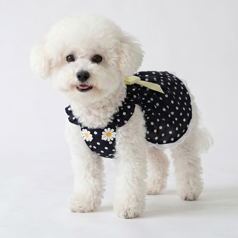 マーガレットリボン・ドットフリルワンピース | 犬服通販ドッグピース
