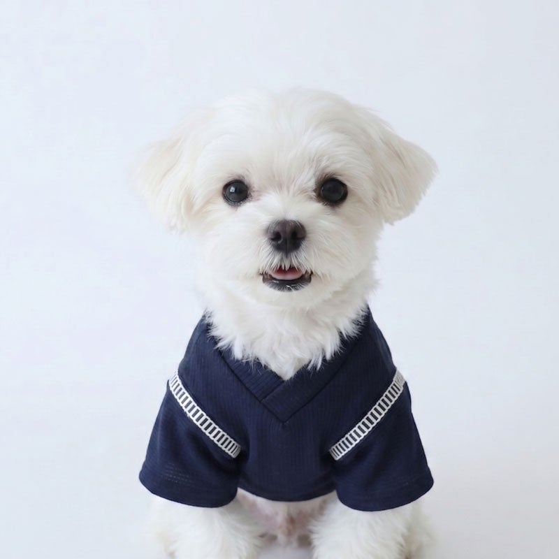 お名前プリント］すぽっと着れるかんたん甚平シャツ 氷と犬 | 犬服通販