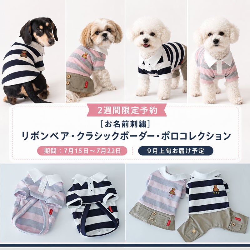 お名前刺繍］リボンベア・クラシックボーダー・ポロコレクション | 犬