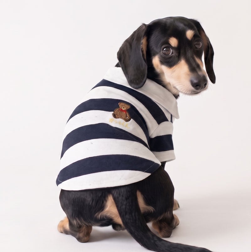 お名前刺繍］リボンベア・クラシックボーダー・ポロコレクション | 犬
