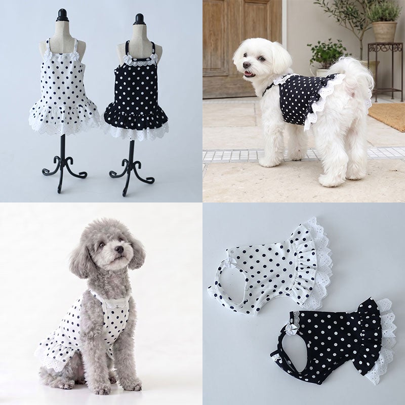 クラシカルドット・リボンレースチュニック | 犬服通販ドッグピース