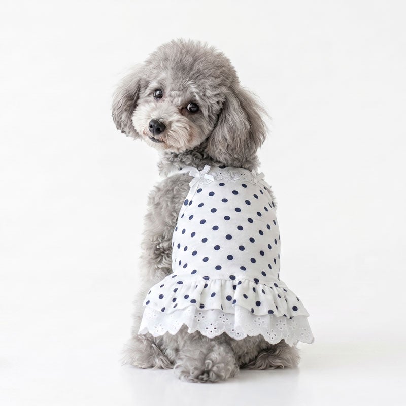 クラシカルドット・リボンレースチュニック | 犬服通販ドッグピース