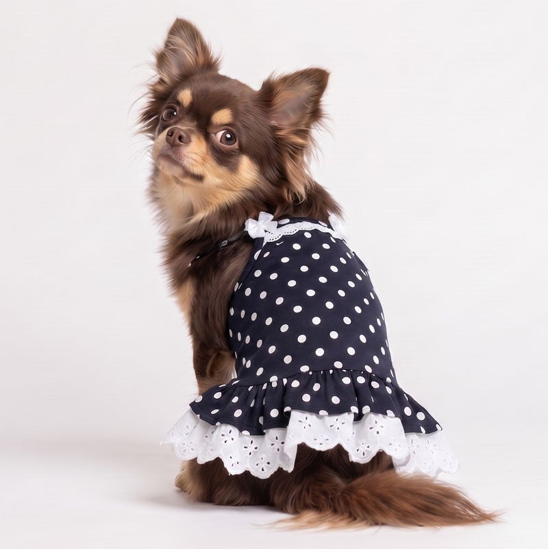 クラシカルドット・リボンレースチュニック | 犬服通販ドッグピース