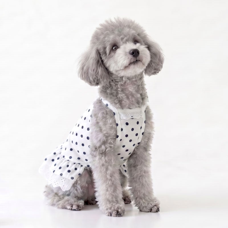 クラシカルドット・リボンレースチュニック | 犬服通販ドッグピース