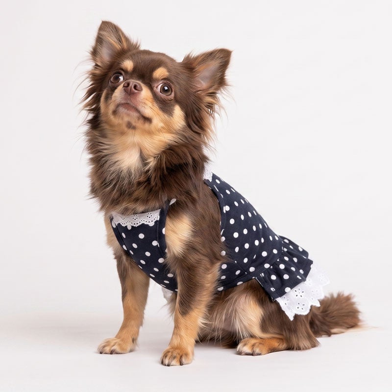 クラシカルドット・リボンレースチュニック | 犬服通販ドッグピース
