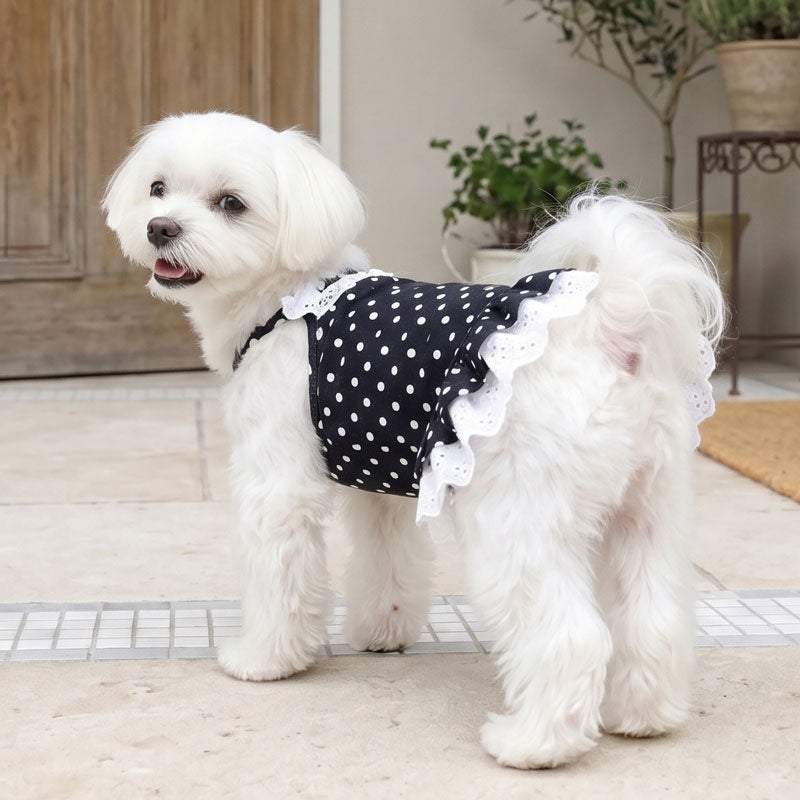 クラシカルドット・リボンレースチュニック | 犬服通販ドッグピース