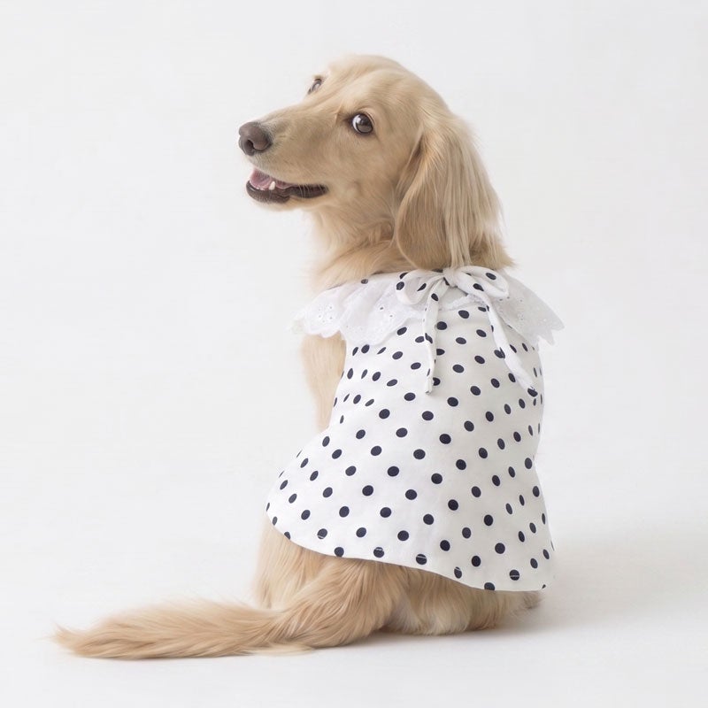 プティフルール・ドットレースキャミソール | 犬服通販ドッグピース