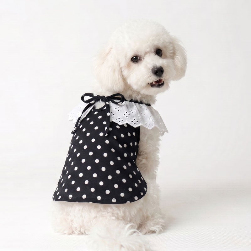 プティフルール・ドットレースキャミソール | 犬服通販ドッグピース