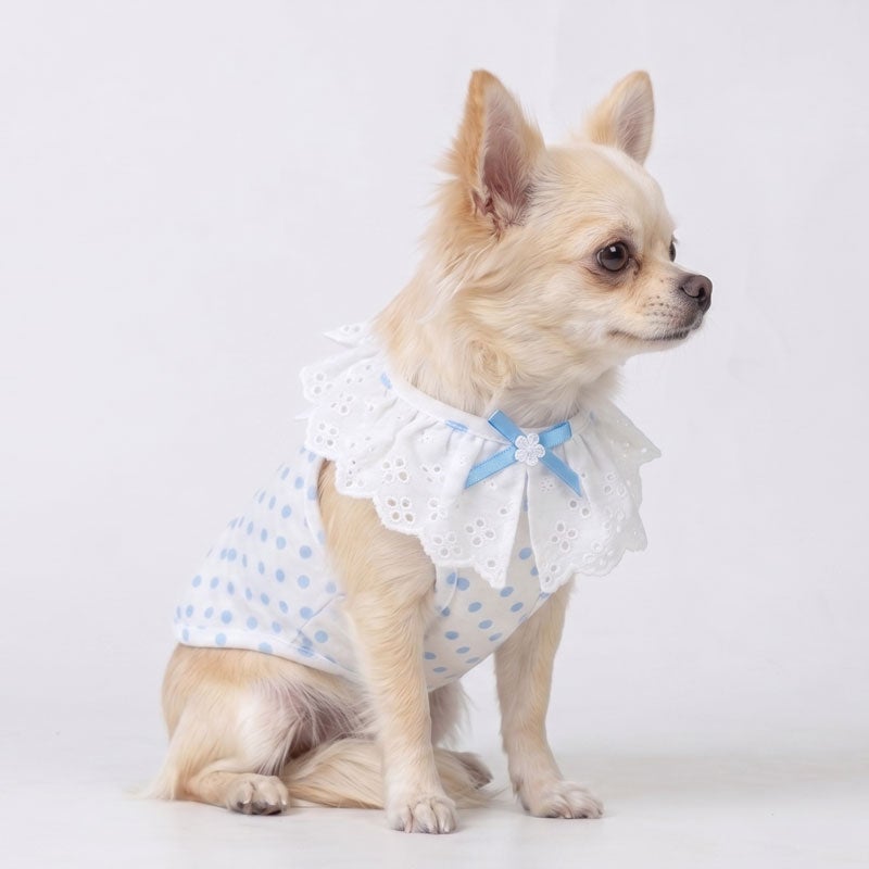 プティフルール・ドットレースキャミソール | 犬服通販ドッグピース