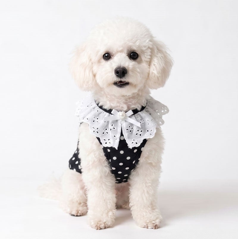 プティフルール・ドットレースキャミソール | 犬服通販ドッグピース
