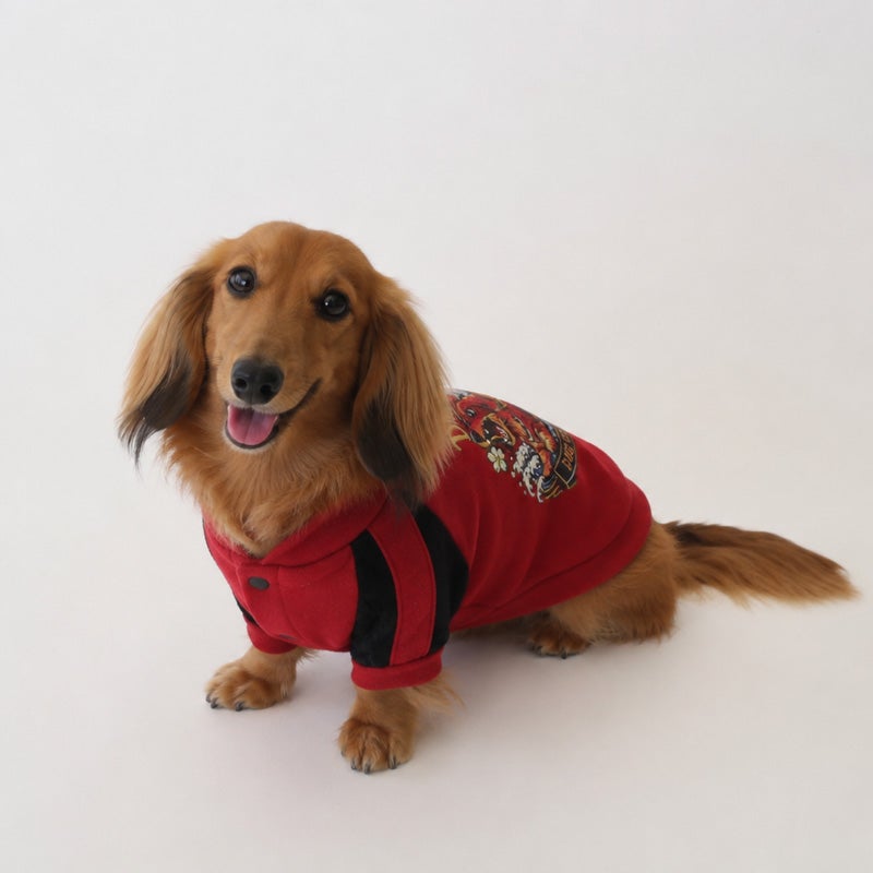 ワイルドドッグ・ベロアニットスカジャン2 | 犬服通販ドッグピース